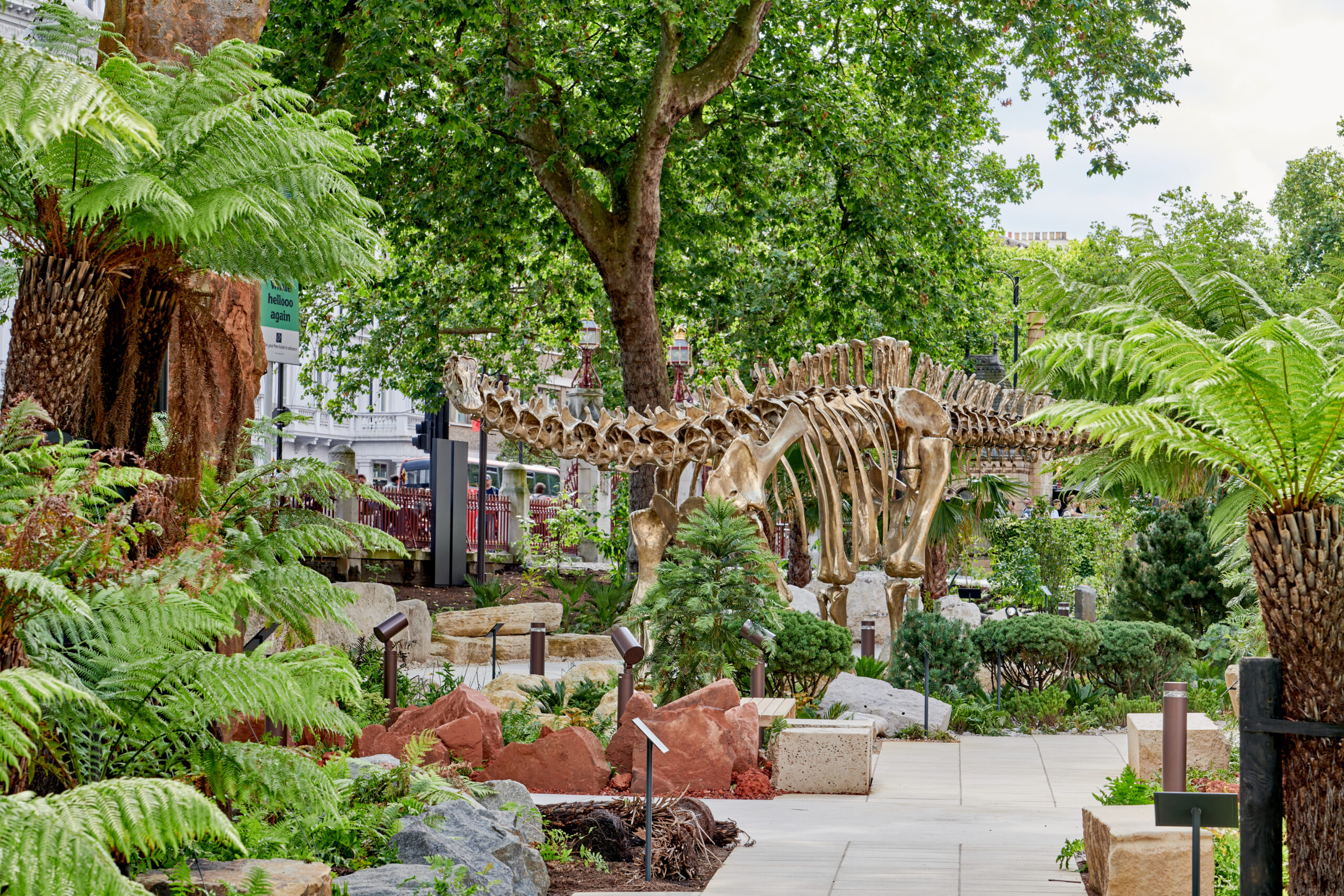 Rocks, plants, and time: Exploring London’s Evolution Garden